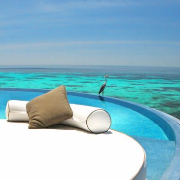 W Maldives